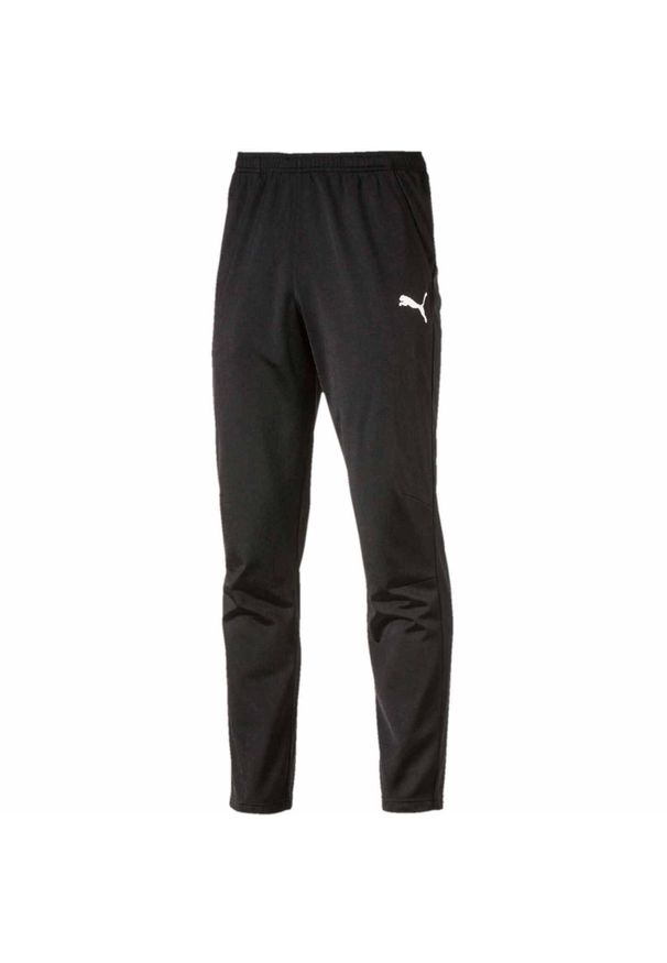 Spodnie sportowe męskie Puma Liga 655770-03. Kolor: czarny. Sport: fitness