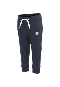 Spodnie dresowe dla dzieci Hummel hmlAPPLE. Kolor: niebieski. Materiał: dresówka. Sport: bieganie