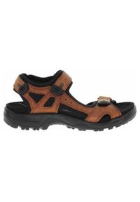 ecco - Buty trekkingowe męskie Ecco Offroad Sierra. Zapięcie: rzepy. Kolor: brązowy. Materiał: materiał, skóra, syntetyk