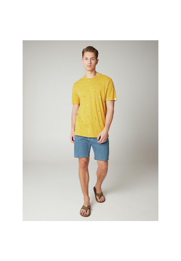 Koszulka męska Protest PRTEGONIA t-shirt. Kolor: żółty. Sport: turystyka piesza