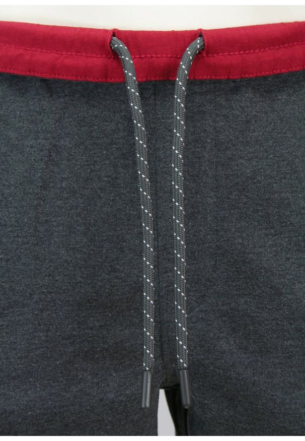 Pako Jeans - Spodenki Męskie, Grafitowe Szorty, Dresowe, Bawełniane -PAKO JEANS. Kolor: szary. Materiał: bawełna. Długość: krótkie. Sezon: lato. Styl: sportowy