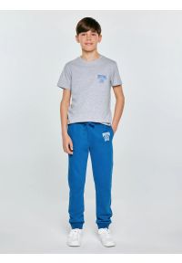 Big-Star - Spodnie chłopięce dresowe niebieskie Lamenp 402. Okazja: na co dzień, na uczelnię. Kolor: niebieski. Materiał: dresówka. Wzór: haft. Styl: sportowy, casual, młodzieżowy #4