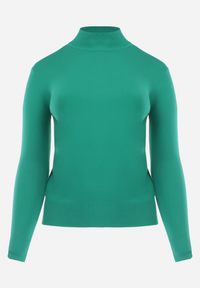 Born2be - Zielony Sweter z Golfem Erimessa. Typ kołnierza: golf. Kolor: zielony. Materiał: tkanina, dzianina, wiskoza. Długość rękawa: długi rękaw. Długość: długie. Styl: klasyczny #5