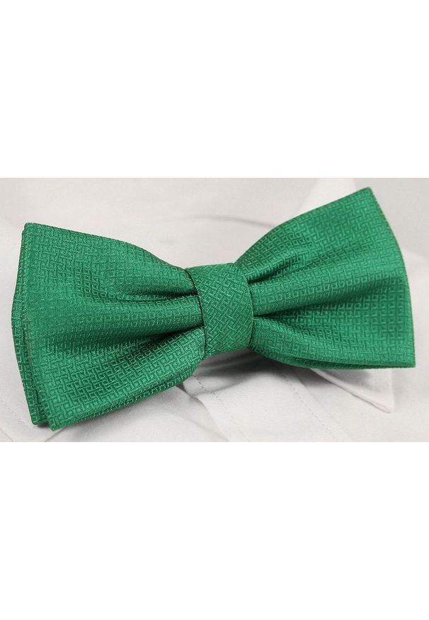Zielona muszka Alties w geometryczne wzory, elegancka