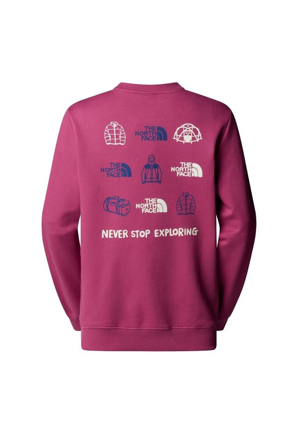 Bluza The North Face Outdoor Graphic. Kolor: różowy. Sport: outdoor
