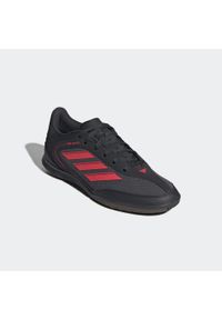 Adidas - Buty do piłki nożnej halowej dla dzieci ADIDAS Copa Club Court Futsal. Materiał: kauczuk. Szerokość cholewki: normalna