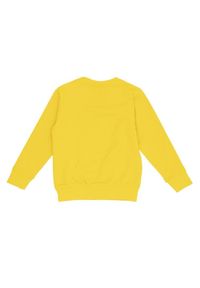 LEONE 1947 APPAREL - Dziecięcy t-shirt Leone College z okrągłym dekoltem. Kolor: żółty. Sport: joga i pilates