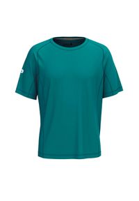 Koszulka Smartwool Active Ultralite. Kolor: zielony. Sport: turystyka piesza #1