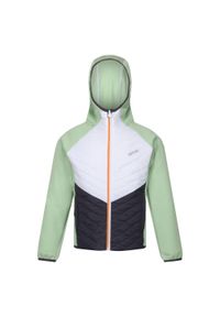 Regatta - Kurtka Dziecięca/dziecięca Kielder Hybrid VII Padded Jacket. Kolor: wielokolorowy, zielony, biały