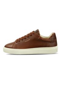 Buty męskie GANT Mc Julien. Kolor: brązowy