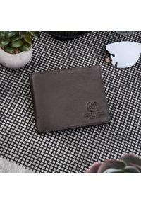 Portfel skórzany PAOLO PERUZZI T-47-BR brązowy. Kolor: brązowy. Materiał: skóra #1