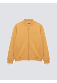 Big-Star - Bluza męska bomber jasnobrązowa Wladorb 803. Okazja: na spacer. Typ kołnierza: kołnierzyk stójkowy. Kolor: brązowy. Materiał: tkanina, materiał, dzianina. Wzór: nadruk. Styl: klasyczny, sportowy
