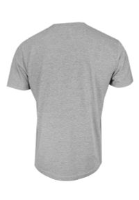 Stedman - Szary Bawełniany T-Shirt Męski Bez Nadruku -STEDMAN- Koszulka, Krótki Rękaw, Basic, U-neck. Okazja: na co dzień. Kolor: szary. Materiał: wiskoza, bawełna. Długość rękawa: krótki rękaw. Długość: krótkie. Styl: casual