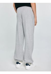 Big-Star - Spodnie chłopięce dresowe szare Polis 901. Okazja: na co dzień, na uczelnię. Kolor: szary. Materiał: dresówka. Wzór: aplikacja. Styl: casual, sportowy #3
