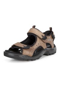 ecco - Buty do chodzenia męskie Ecco Offroad. Zapięcie: rzepy. Kolor: brązowy. Materiał: guma, skóra
