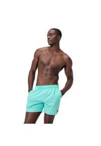 Spodenki szorty plażowe na basen męskie Speedo Prime Leisure. Kolor: zielony