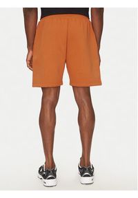 The North Face Szorty sportowe Nse Box NF0A8C1J Brązowy Regular Fit. Kolor: brązowy. Materiał: bawełna, syntetyk. Styl: sportowy #4