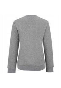 TECNIFIBRE - Bluza dziecięca lifestyle Tecnifibre Team Sweater. Kolor: szary
