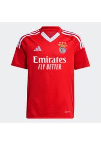 Adidas - Koszulka piłkarska dla dzieci ADIDAS Benfica domowa sezon 24/25. Typ kołnierza: dekolt w kształcie V. Wzór: jodełka. Sport: piłka nożna #1