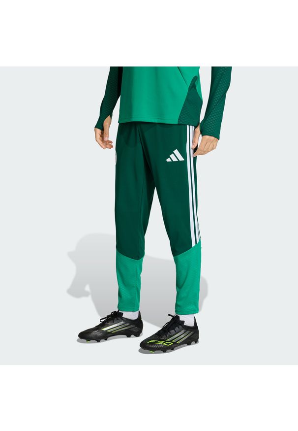 Adidas - Spodnie treningowe Algieria 26. Kolor: zielony. Materiał: dresówka. Sport: piłka nożna