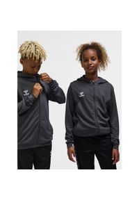 Dziecięca bluza dresowa z kapturem zapinana na zamek Hummel Authentic. Typ kołnierza: kaptur. Kolor: szary. Materiał: dresówka #1