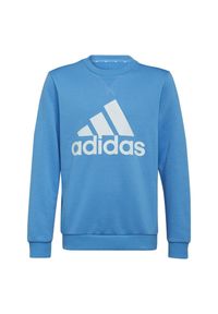 Bluza turystyczna dla dzieci Adidas Bl Swt. Kolor: niebieski. Materiał: poliester. Sport: turystyka piesza
