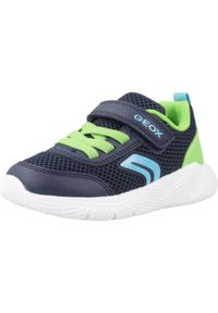 Tenisówki Geox Model B Sprintye Boy Kolor Niebieski. Kolor: niebieski. Materiał: syntetyk, tkanina. Sport: turystyka piesza