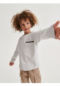 Reserved - Longsleeve oversize - jasnoszary. Kolor: szary. Materiał: dzianina, bawełna. Długość rękawa: długi rękaw