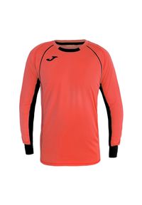 Joma - Męska Koszulka Bramkarska Protect Z Długim Rękawem. Kolor: pomarańczowy. Długość rękawa: długi rękaw. Długość: długie. Sport: turystyka piesza