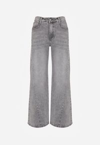 Born2be - Szare Bawełniane Jeansy o Szerokim Kroju z Wysokim Stanem i Przetarciami Ryrixia. Okazja: na co dzień. Stan: podwyższony. Kolor: szary. Styl: casual, klasyczny #4