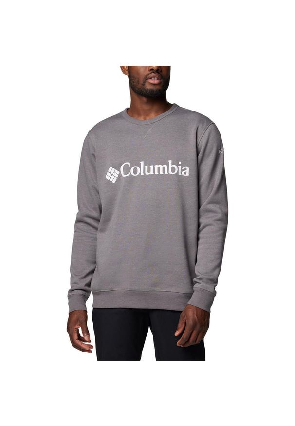 columbia - Columbia Bluza Logo Fleece 1884931022. Kolor: szary