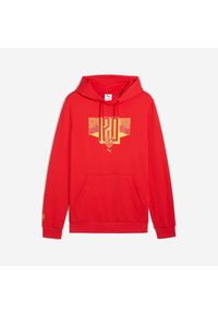 Bluza piłkarska z kapturem Puma RC Lens 25/26. Typ kołnierza: kaptur. Materiał: materiał, bawełna. Sport: piłka nożna