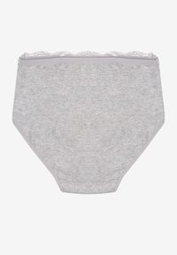 Born2be - Szare Bawełniane Majtki Figi z Koronkowymi Zdobieniami Idissa. Kolekcja: plus size. Kolor: szary. Materiał: koronka, bawełna. Wzór: aplikacja