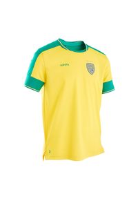 KIPSTA - Koszulka do piłki nożnej dla dzieci Kipsta FF500 Brazylia 2022. Kolor: zielony, wielokolorowy, żółty. Materiał: materiał, elastan, prążkowany, tkanina, poliester