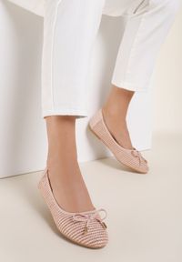 Renee - Różowe Balerinki Anaviane. Nosek buta: okrągły. Kolor: różowy. Materiał: koronka. Szerokość cholewki: normalna. Wzór: aplikacja #1