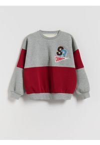 Reserved - Ocieplana bluza z nadrukiem - jasnoszary. Kolor: szary. Materiał: dzianina. Wzór: nadruk #1