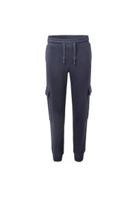 Hi-tec - Spodnie Do Joggingu Dziecięce Tibar. Kolor: niebieski. Sezon: lato. Sport: bieganie