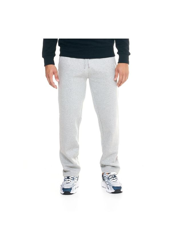 LEONE 1947 APPAREL - Męskie spodnie dresowe Leone Urban. Kolor: szary. Materiał: dresówka. Sport: fitness