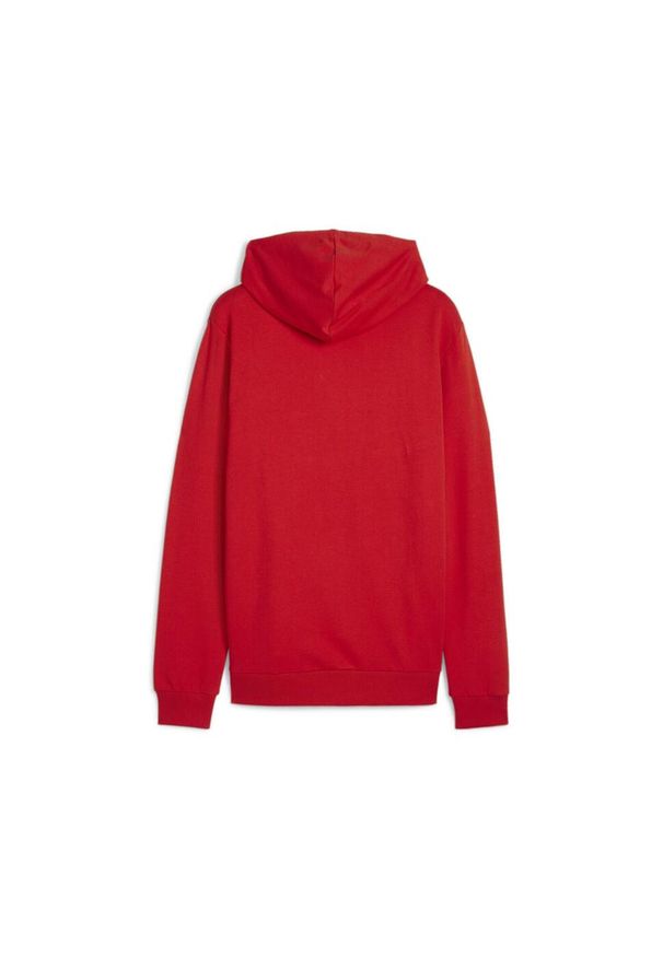 Bluza z kapturem Puma Teamgoal Casuals. Typ kołnierza: kaptur. Kolor: czerwony