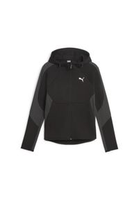 Puma Bluza Evostripe Fz 67607301. Kolor: czarny