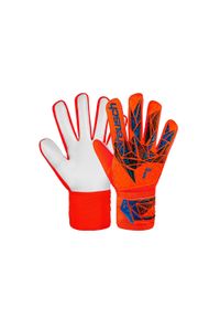 Reusch - Rękawice bramkarskie dziecięce REUSCH Attrakt Starter Solid Junior. Kolor: pomarańczowy, wielokolorowy, niebieski