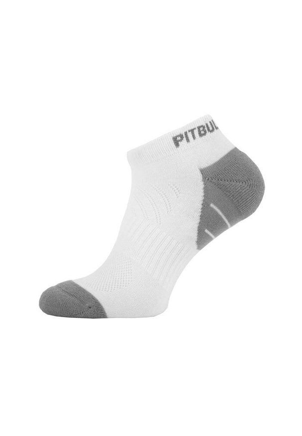 PITBULL - Spodenki męskie Pitbull kompresyjne Dillard. Kolor: biały. Sport: fitness