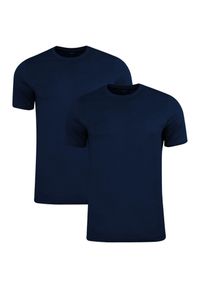 Koszulka dla dzieci Puma Junior Base T shirt Navy 2 pack. Kolor: niebieski. Materiał: materiał, bawełna #1