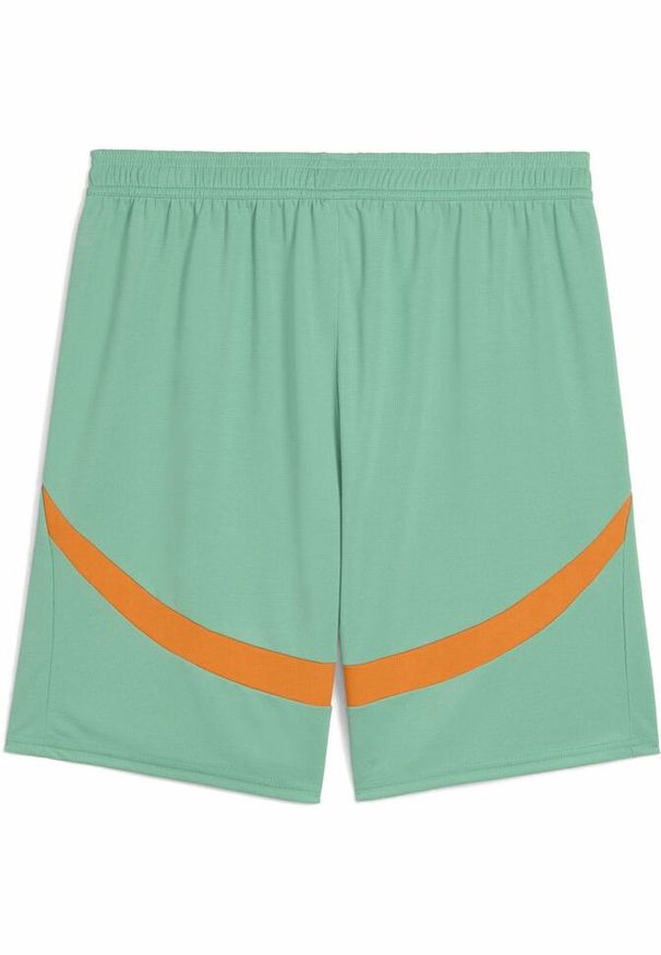 Puma - Męskie szorty Wybrzeże Kości Słoniowej 2025 PUMA Jade Frost White Green. Kolor: biały