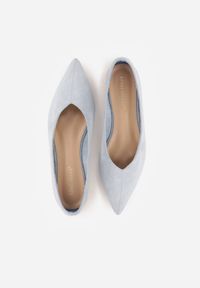 Born2be - Niebieskie Balerinki z Imitacji Zamszu z Noskiem w Szpic Egynome. Okazja: na co dzień, na spotkanie biznesowe, do pracy. Kolor: niebieski. Materiał: zamsz. Styl: casual, biznesowy, elegancki #7