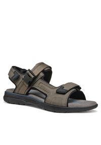 Geox Sandały U Spherica Ec5 U55ELB 000EK C1018 Szary. Kolor: szary. Materiał: skóra #4