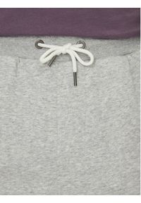 Quiksilver Spodnie dresowe Salt Water EQYFB03391 Szary Regular Fit. Kolor: szary. Materiał: bawełna