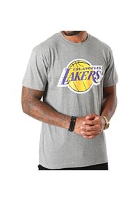 Koszulka do koszykówki męska Mitchell & Ness NBA Los Angeles Lakers. Kolor: szary. Sport: koszykówka