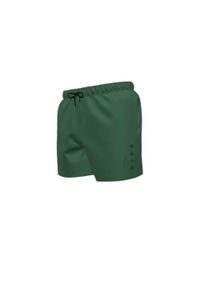 Nike - Disabled. Kolor: wielokolorowy, zielony. Materiał: mesh. Sport: skateboard #1