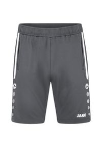 Spodenki treningowe Jako Allround. Kolor: wielokolorowy, szary, brązowy. Długość: krótkie. Sezon: lato #1